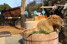 185210_2.jpg  : 88 KB