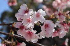 185216_3.jpg  : 69 KB