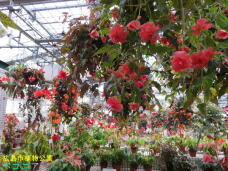 185220_1.jpg  : 107 KB