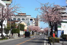 185225_1.jpg  : 231 KB