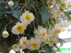 185228_1.jpg  : 52 KB