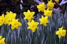 185231_2.jpg  : 43 KB