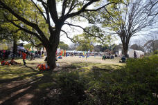 185232_1.jpg  : 402 KB