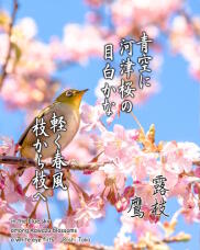 185237_1.jpg  : 216 KB