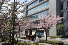 185239_2.jpg  : 206 KB