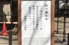 185243_2.jpg  : 46 KB