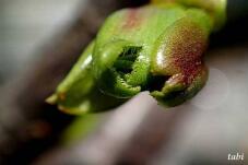 185243_5.jpg  : 33 KB