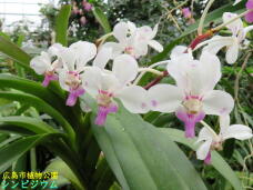 185247_3.jpg  : 55 KB