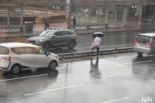 185257_3.jpg  : 50 KB