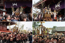 185264_1.jpg  : 378 KB