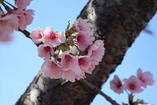 185277_1.jpg  : 92 KB