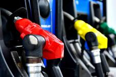 185280_1.jpg  : 45 KB