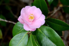 185286_2.jpg  : 48 KB