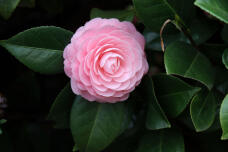 185304_2.jpg  : 45 KB