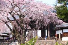 185306_1.jpg  : 88 KB