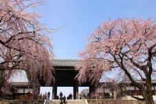 185306_3.jpg  : 89 KB