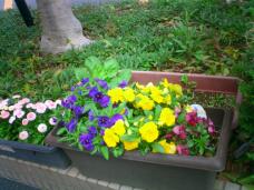 185308_2.jpg  : 128 KB