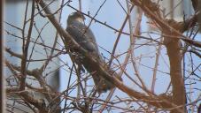 185351_2.jpg  : 99 KB