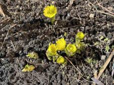 185351_3.jpg  : 98 KB