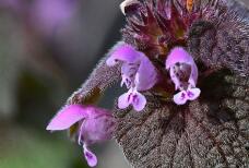 185361_3.jpg  : 101 KB