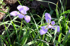 185363_1.jpg  : 105 KB