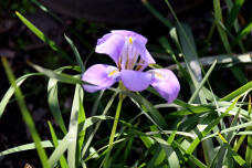 185363_2.jpg  : 77 KB