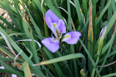 185363_3.jpg  : 84 KB