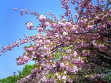 185370_2.jpg  : 73 KB