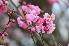 185376_2.jpg  : 42 KB