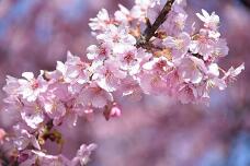 185376_3.jpg  : 67 KB