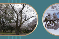 185380_1.jpg  : 246 KB