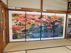 185395_3.jpg  : 158 KB