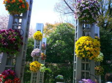 185397_2.jpg  : 127 KB