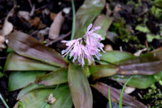 185412_2.jpg  : 63 KB