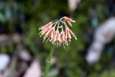 185412_3.jpg  : 39 KB