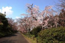 185413_1.jpg  : 142 KB