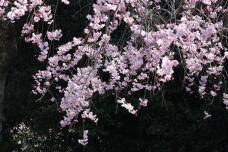 185413_2.jpg  : 138 KB