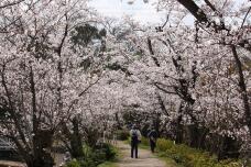 185413_3.jpg  : 183 KB