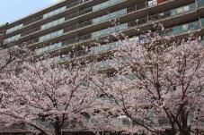 185423_1.jpg  : 88 KB