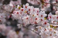 185423_2.jpg  : 89 KB