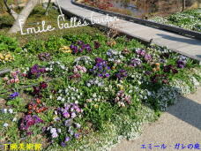 185426_1.jpg  : 124 KB