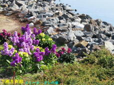 185426_2.jpg  : 114 KB