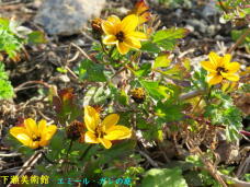 185426_3.jpg  : 81 KB