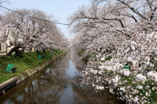 185427_1.jpg  : 147 KB