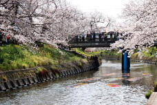 185427_3.jpg  : 148 KB