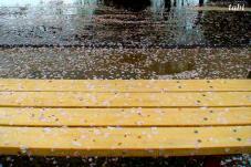 185433_4.jpg  : 73 KB