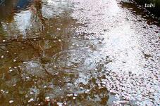 185433_5.jpg  : 67 KB