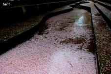 185433_6.jpg  : 80 KB