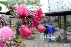 185433_7.jpg  : 56 KB