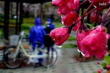 185433_8.jpg  : 55 KB